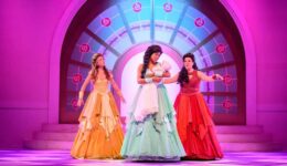 Doornroosje de Musical - foto aangeleverd