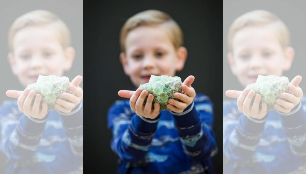 HR - Fries Natuurmuseum Portretten - foto aangeleverd