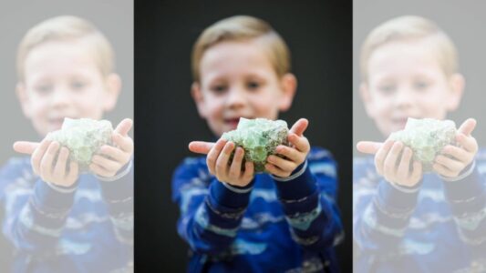 HR - Fries Natuurmuseum Portretten - foto aangeleverd