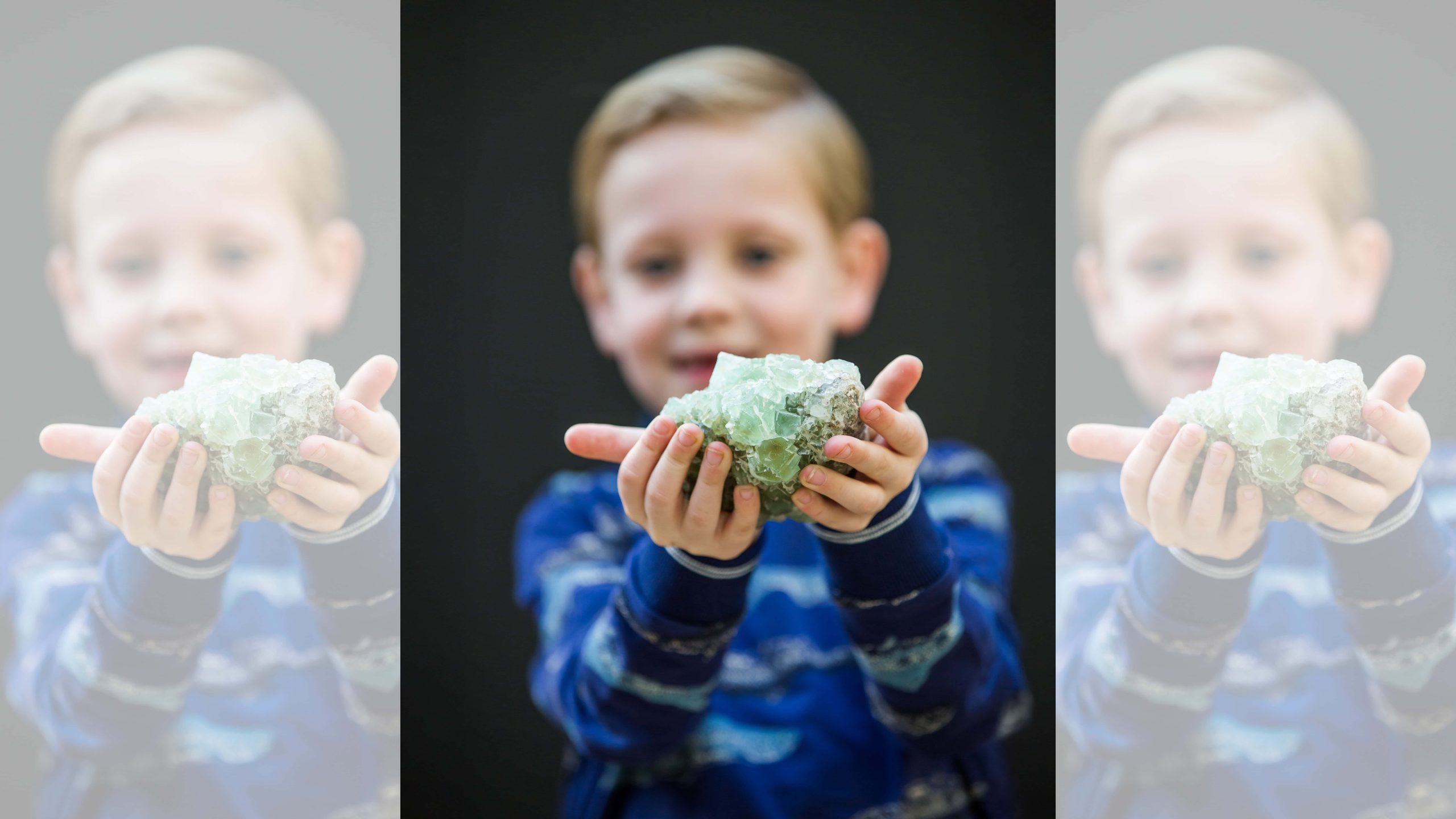 HR - Fries Natuurmuseum Portretten - foto aangeleverd