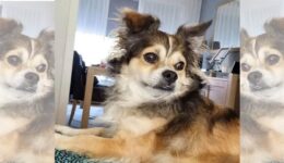 bunky - foto aangeleverd