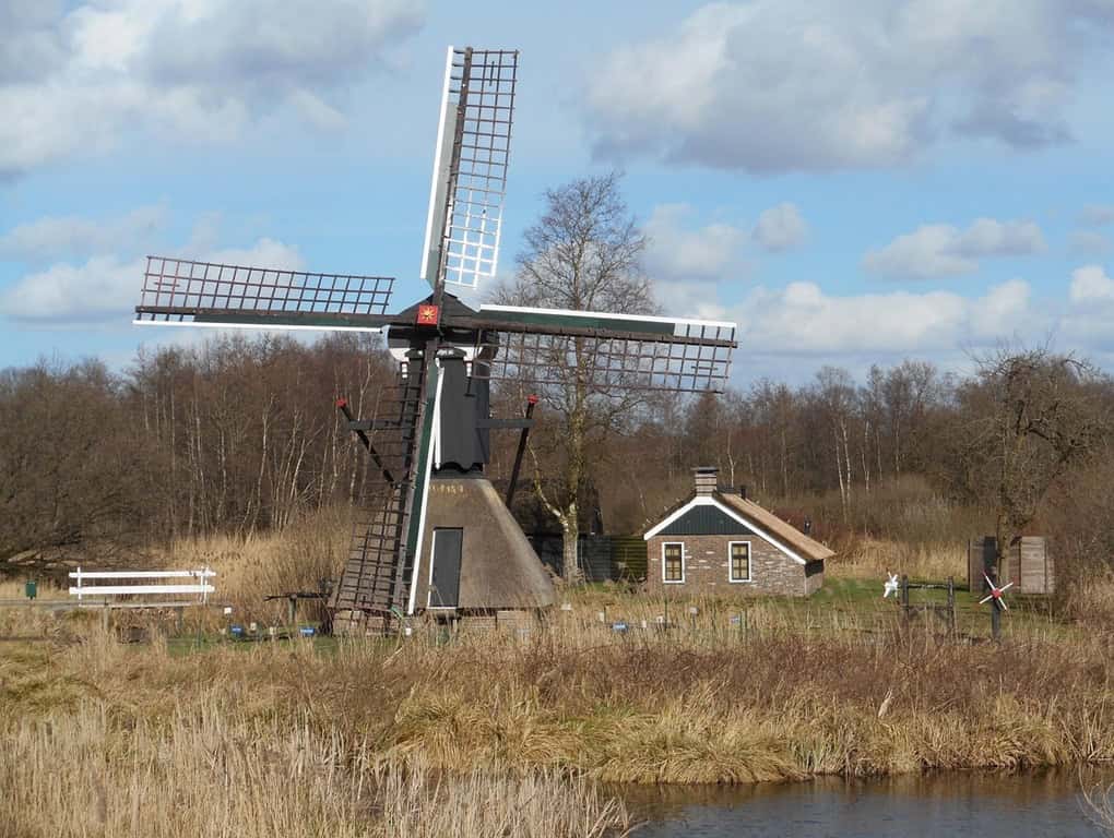 weerribben (Foto Pixabay)