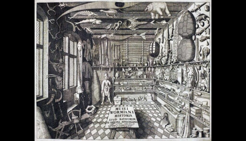 wunderkammer - foto aangeleverd