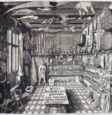 wunderkammer - foto aangeleverd