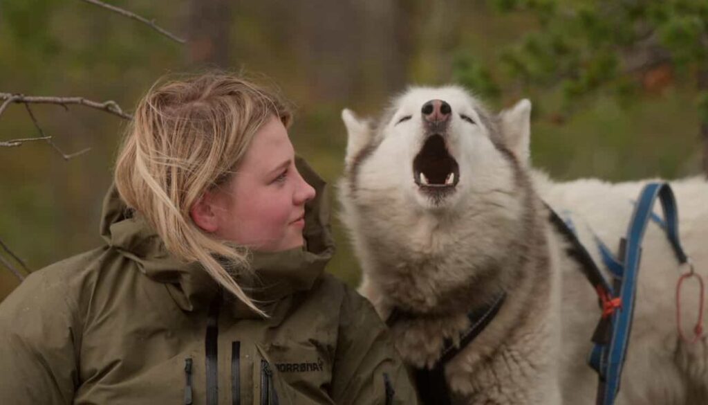 Folktales - foto aangeleverd