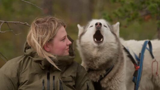 Folktales - foto aangeleverd
