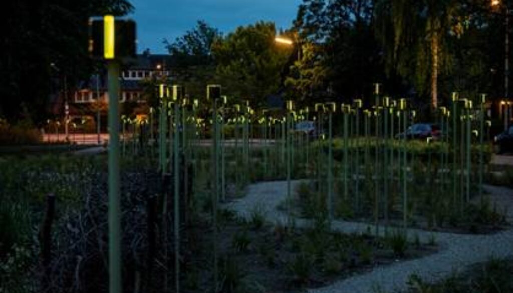 Licht van Herinnering - foto Eva Kasbergen