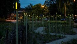 Licht van Herinnering - foto Eva Kasbergen