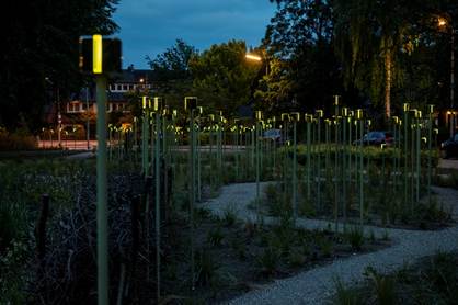 Licht van Herinnering - foto Eva Kasbergen