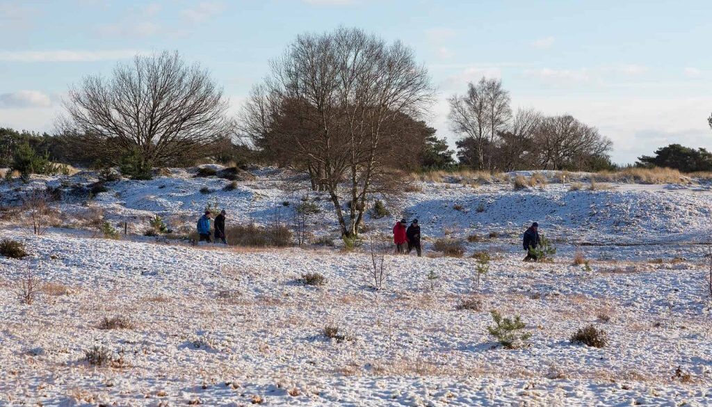 Winterwandeling Aekingerzand - foto Laura Csonka