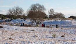 Winterwandeling Aekingerzand - foto Laura Csonka