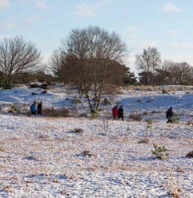Winterwandeling Aekingerzand - foto Laura Csonka
