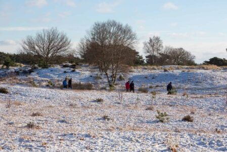Winterwandeling Aekingerzand - foto Laura Csonka