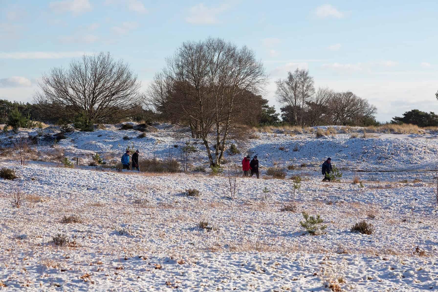 Winterwandeling Aekingerzand - foto Laura Csonka