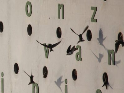 Twitterhut - foto aangeleverd