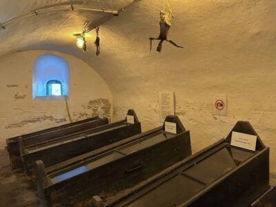 Mummie Mysteries - foto aangeleverd