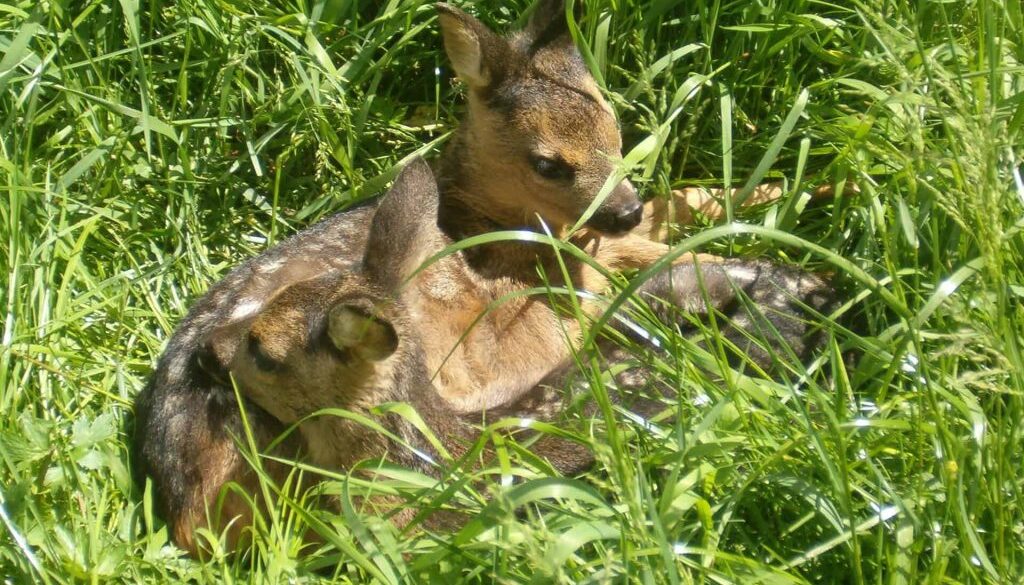 Natuurmonumenten - medewerker BC Gooi en Vechtstreek - Landgoed Hackfort - foto aangeleverd