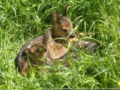 Natuurmonumenten - medewerker BC Gooi en Vechtstreek - Landgoed Hackfort - foto aangeleverd