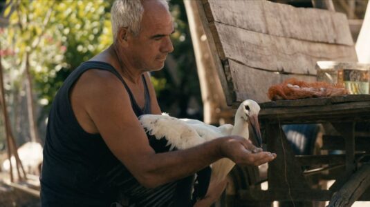 The Tale of Silyan - foto Ciconia Film Jean Dakar