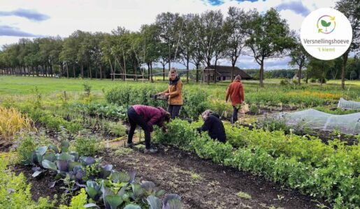 Versnellingshoeve-t-Kiemt-Voedseltuin