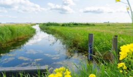 Water in het voorjaar - foto aangeleverd