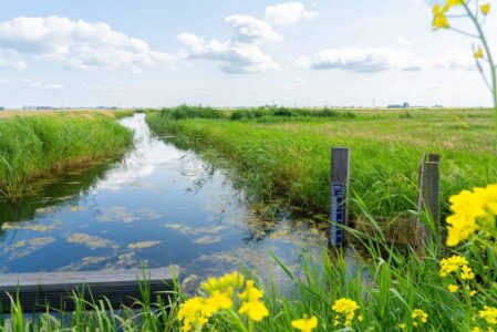 Water in het voorjaar - foto aangeleverd
