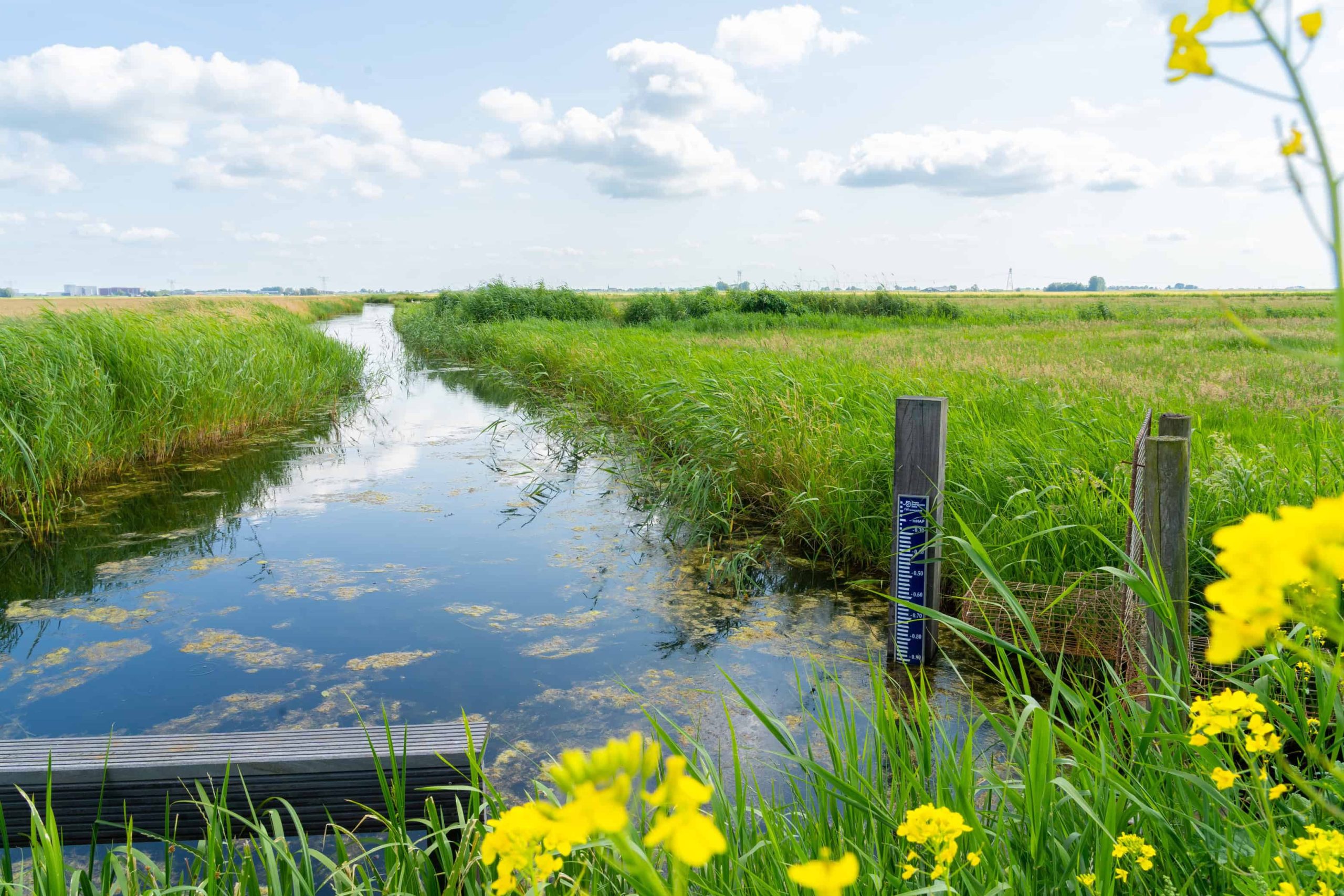 Water in het voorjaar - foto aangeleverd