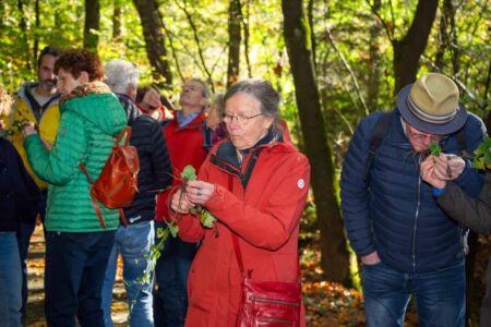 Wildpluk - foto Laura Csonka