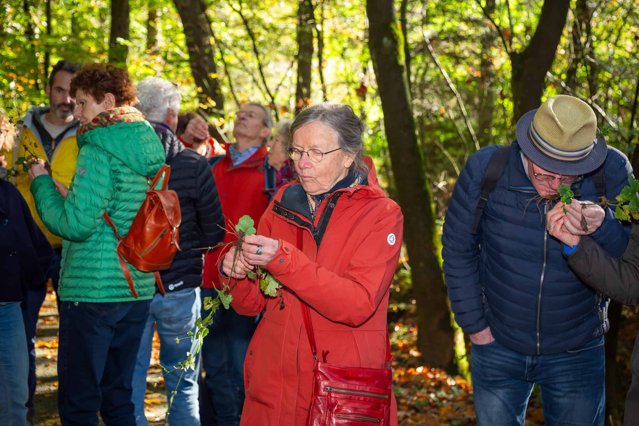 Wildpluk - foto Laura Csonka