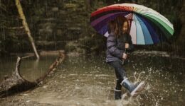 Waterschappen trappen landelijke beweging voor meer watervangers af - foto freepik
