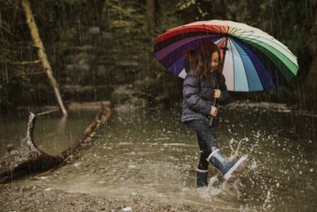 Waterschappen trappen landelijke beweging voor meer watervangers af - foto freepik