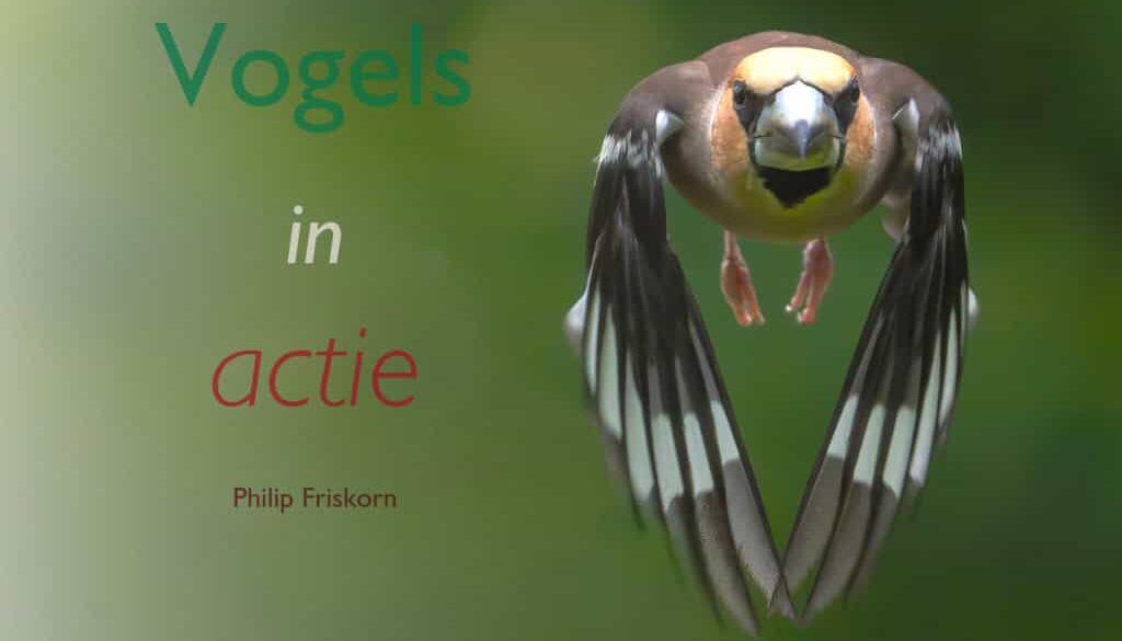 Boekpresentatie Philip Friskorn Vogels in actie - foto aangeleverd