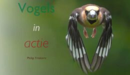 Boekpresentatie Philip Friskorn Vogels in actie - foto aangeleverd