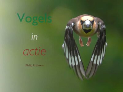 Boekpresentatie Philip Friskorn Vogels in actie - foto aangeleverd