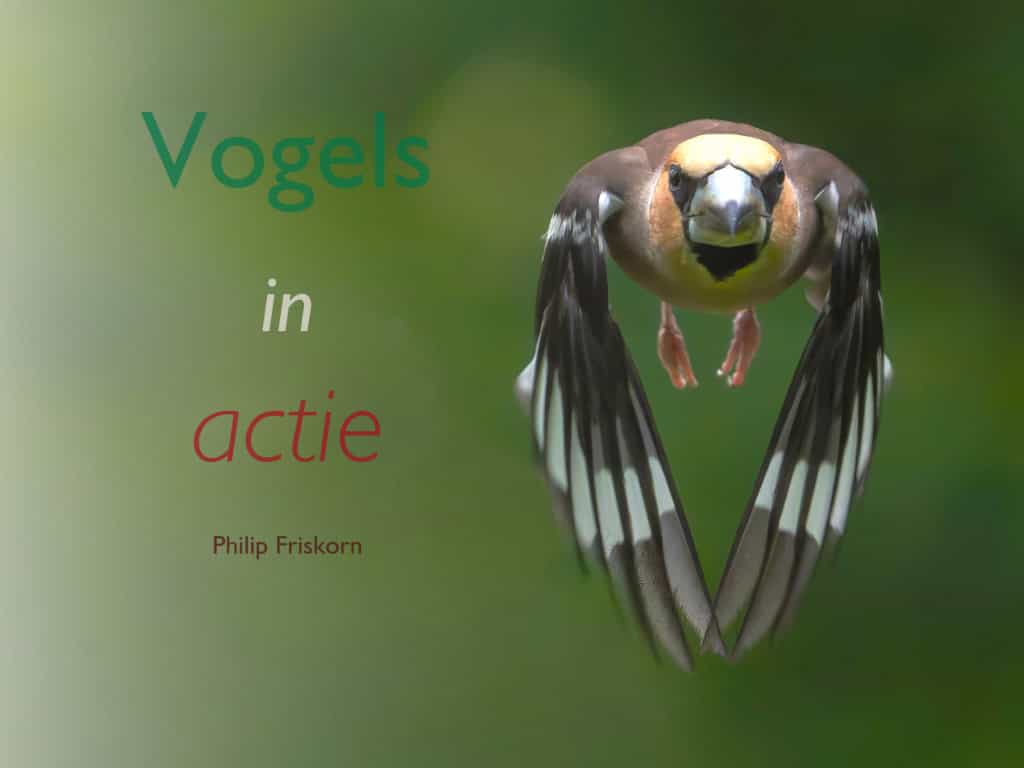 Boekpresentatie Philip Friskorn Vogels in actie - foto aangeleverd