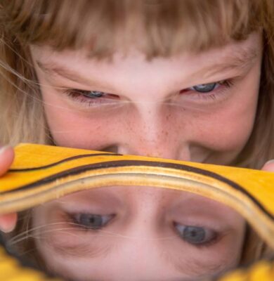 Bossafari - foto Marjolein den Hartog