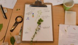 Natuurjournalen 9 mei - foto Antoine van der Heijden