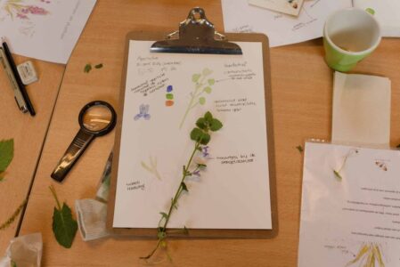 Natuurjournalen 9 mei - foto Antoine van der Heijden