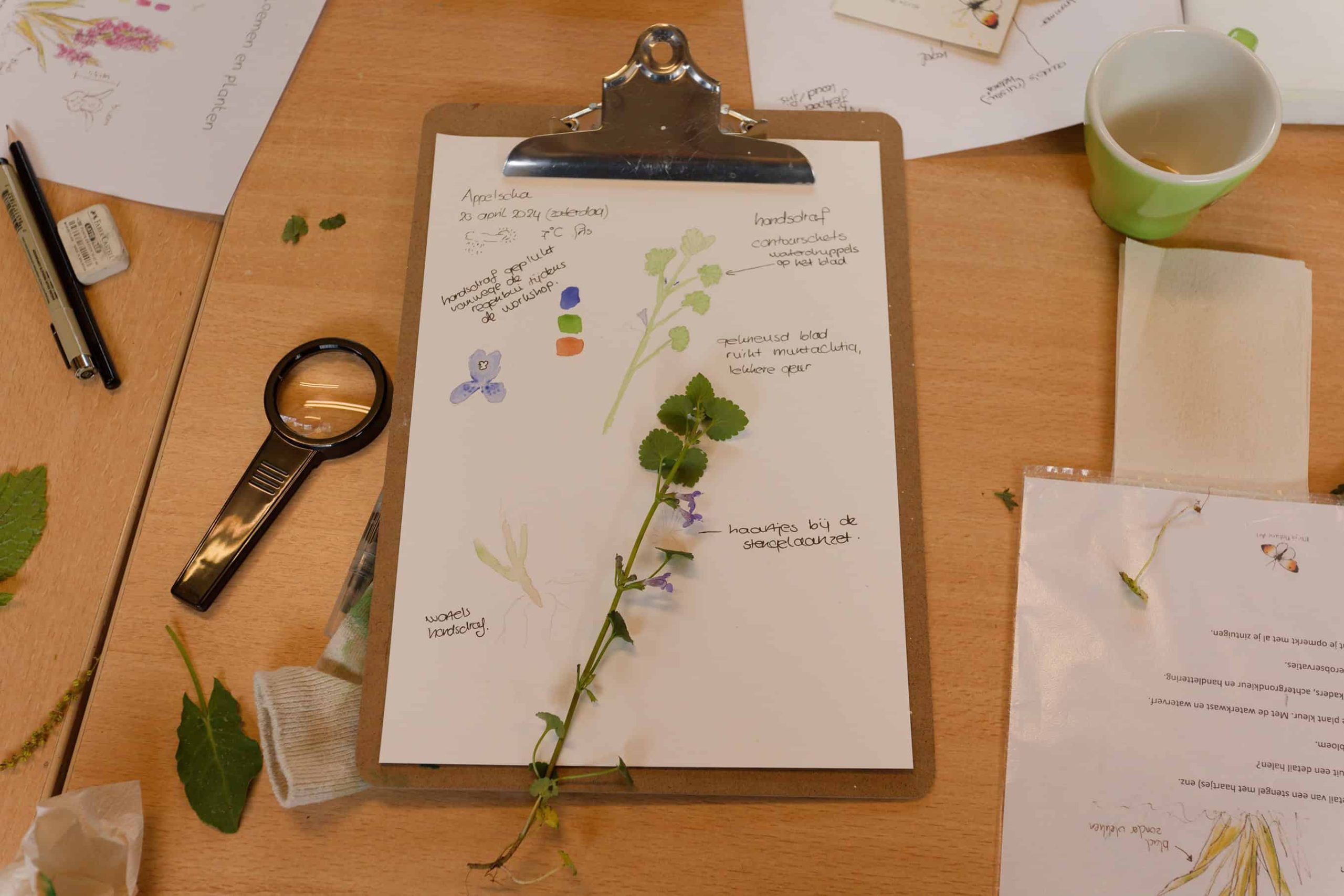 Natuurjournalen 9 mei - foto Antoine van der Heijden