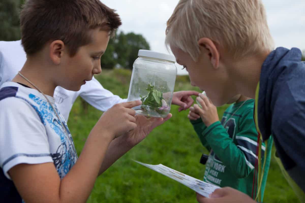 foto Staatsbosbeheer