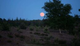 Volle maan Aekingerzand - foto Joke van der Lei