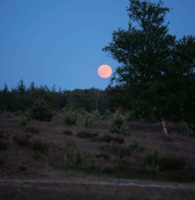 Volle maan Aekingerzand - foto Joke van der Lei