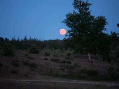 Volle maan Aekingerzand - foto Joke van der Lei