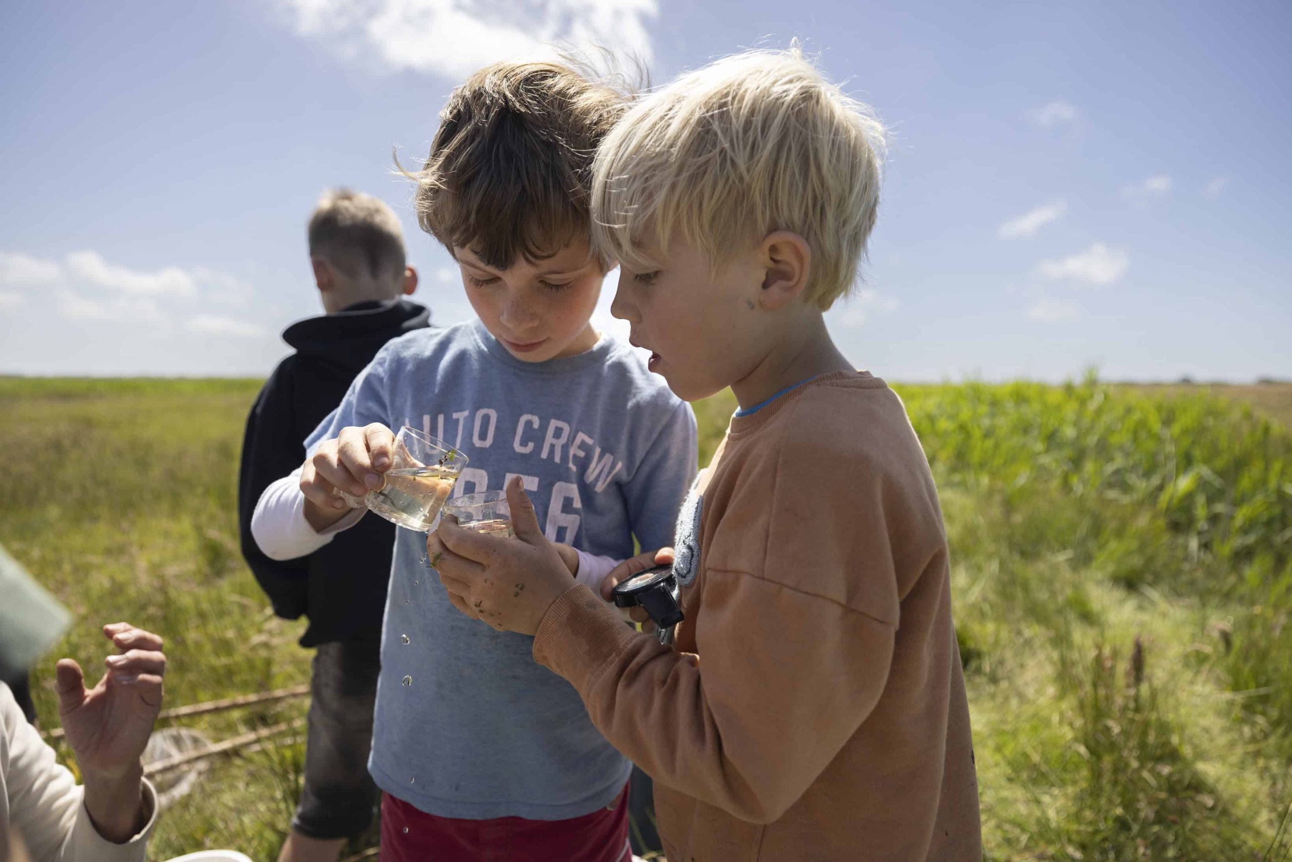 Waterdieren- foto Marco van de Burgwal
