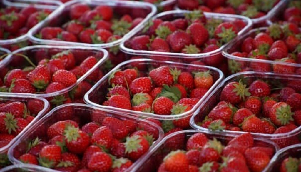 aardbeien (Foto Pixabay)