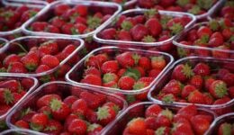 aardbeien (Foto Pixabay)