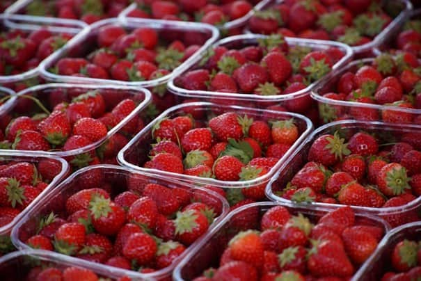 aardbeien (Foto Pixabay)