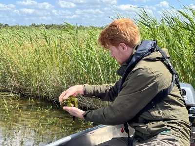 exoten uit de sloten te halen - foro aangeleverd