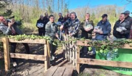 Openings handeling plankenpad - foto aangeleverd