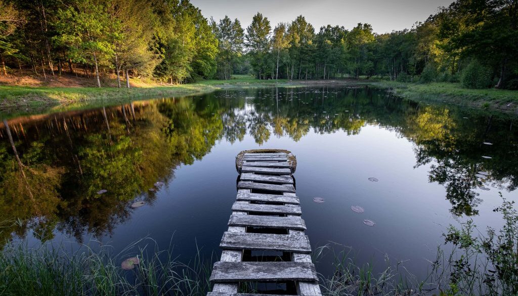 rustic wooden pier lake - foto freepik